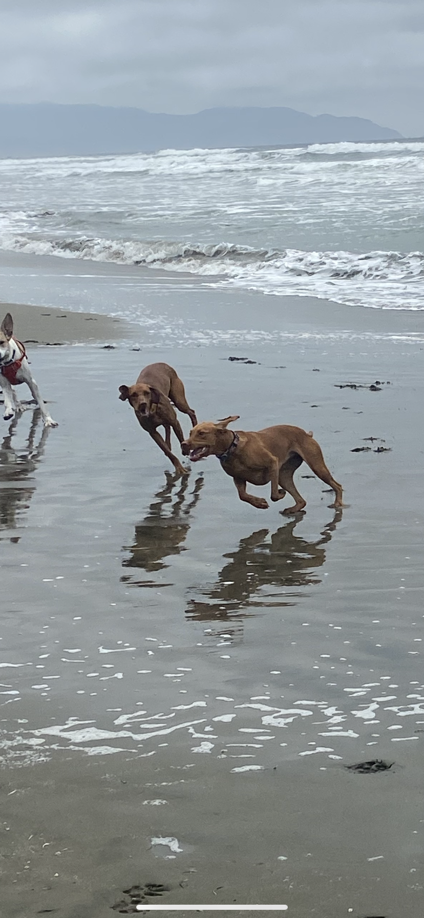 DDE6E28F-3369-40BE-B90B-400BAC439103